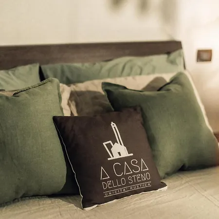 A Casa Dello Steno - Unicità Rustica *